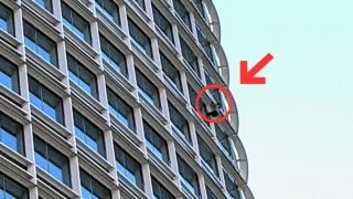 Anti-Abortion Activist Climbs 60-Floor Salesforce Tower in San Francisco, Calls Himself 'Pro-Life Spiderman' | Watch