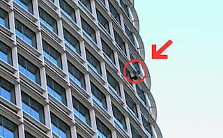 Anti-Abortion Activist Climbs 60-Floor Salesforce Tower in San Francisco, Calls Himself 'Pro-Life Spiderman' | Watch