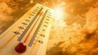 Heatwave Broils Parts of Delhi, Mercury Crosses 46 Degrees at Najafgarh; Alert Issued For Weekend