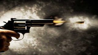 Bhagalpur Honour Killing Case: Unhappy With Sister's Love Marriage, Brother Shoots Her Dead
