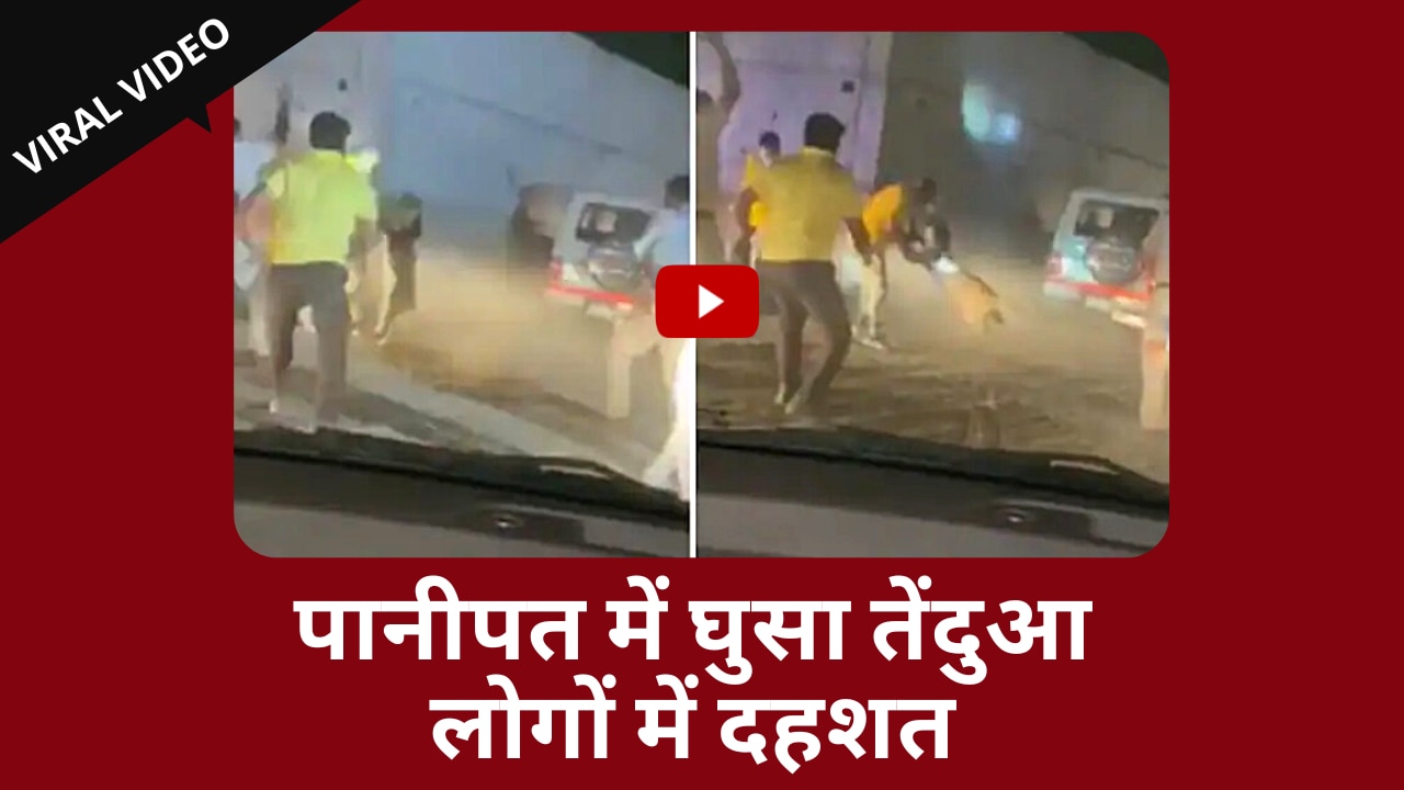 Panipat Leopard Video: तेंदुए की खबर मिलने के बाद भी नही पहुची विभाग की टीम | Viral Video