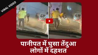 Panipat Leopard Video: तेंदुए की खबर मिलने के बाद भी नही पहुची विभाग की टीम | Viral Video