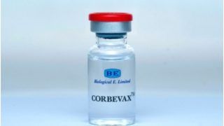 Corbevax Vaccine: 840 रुपए की कॉर्बेवैक्स वैक्सीन की कीमत घटाई गई, अब 250 रुपए प्रति खुराक मिलेगी