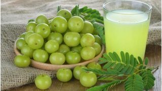 5 Amazing Benefits of Amla for Hair You Should Know