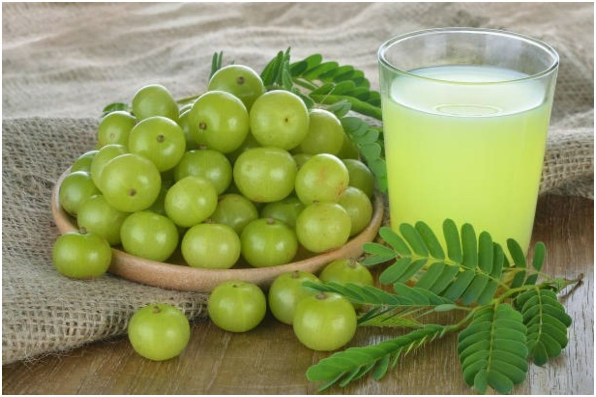 Best Amla powder for hair and : Benefits and Uses