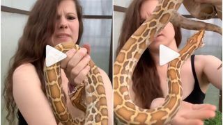 Viral Video: Girl Holds & Plays With Snake, Gets Bitten By It Several Times | Watch