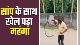 सांप के साथ खेलने की कीमत जान देकर चुकानी पड़ी। Watch Video