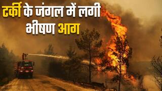 International News 23rd June: टर्की के जंगलों में लगी भीषण आग, बांग्लादेश में बाढ़ से 30 लाख से ज्यादा लोग हुए प्रभावित | Watch Video