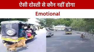 Dog Ka Viral Video: जब सामान लेकर घर से बाहर निकला पूरा परिवार, तो इमोशनल हो गया यह डॉगी, देखें वायरल वीडियो