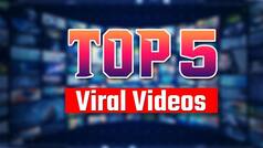 Viral Video: अब बिना पेड़ पर चढ़े तोड़ सकते हैं फल, इस देसी जुगाड़ का करें इस्तेमाल