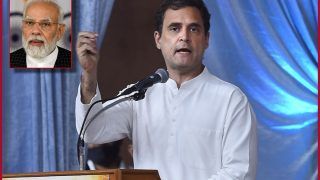 National Herald Case: Rahul Gandhi Back In Delhi From Abroad After ED's summon