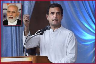 National Herald Case: Rahul Gandhi Back In Delhi From Abroad After ED's summon