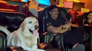 BJP Minister Janardhana Reddy Watches '777 Charlie' With His Pet Dog in Theatre, Turns Emotional