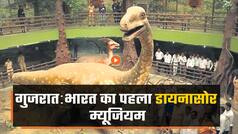 गुजरात में खुला भारत का पहला डायनासोर म्यूजियम, CM भूपेन्द्र पटेल ने किया उद्घाटन | Watch video