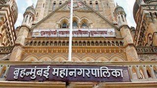 होली पर पेड़ों को नुकसान पहुंचाने वालों को BMC ने चेताया, 5 हजार रुपये तक के जुर्मान से लेकर एक साल तक की हो सकती है जेल