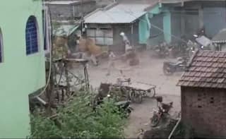 Prophet Row Protests Day 2: Over 60 Arrested As Fresh Violence Rocks West Bengal | Highlights