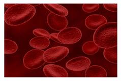 Haryana: Thalassemia Patients To Get Rs 2500 Per Month, Free Medical Tests
