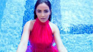 Water Baby Jasmin Bhasin Beats The Heat With Glamour in a Red Swimsuit, Fans Say 'Haye Garmi' - See Pic