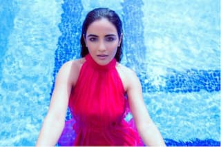 Jasmin Bhasin Beats The Heat With Glamour in a Red Swimsuit, Fans Say 'Haye Garmi'