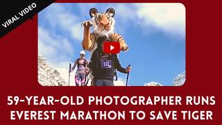 Funny Viral Video: UK Photographer Runs Everest Marathon in Tiger Suit to Save Bengal Tiger