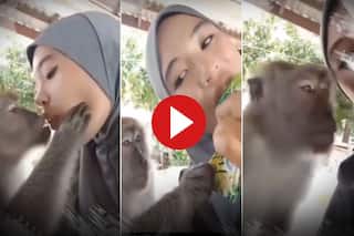 Bandar Ka Video: चुपके से आया और लड़की को किस करने लगा बंदर, उसके बाद जो हुआ सोच नहीं सकते | देखिए वीडियो