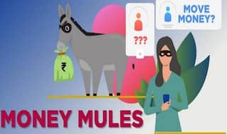 Money Mule: Allowing Others To Use Your Bank Account For Online Transfer Can Be Dangerous | Online Safety Tips