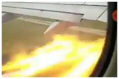Boeing Flight Had Engine Issues, No Bird Hit: Spicejet Passenger