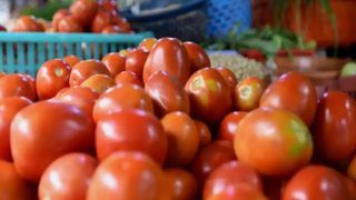 Tomato Prices Surge to Rs 100 Per KG in Mumbai, Unlikely to Come Down in Next 2-3 Weeks