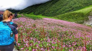 Rhododendrons and Snow Leopards, Check Out These 5 Unexplored National Parks Of Himalayas