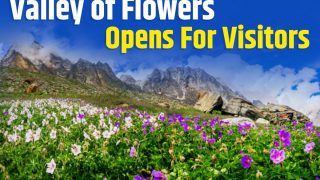 Valley of Flowers in Uttarakhand's Chamoli District Opens Doors to Nature Lovers
