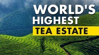 Chai Pe Charcha On Top Of The World:  A Trip To Kolukkumalai -  The Highest Tea Estate to Experience Divine Sunrise Ever