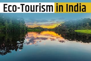 What is Eco-Tourism in India? Here's Everything You Need to Know