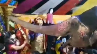 Bride Groom Video: जयमाला सेरेमनी में अचानक पहुंच गया हाथी, फिर दूल्हा-दुल्हन के साथ जो किया दिल हार जाएंगे- देखें वीडियो