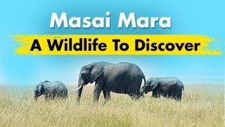 Masai Mara, Kenya: On the Edge of the 'Unending Plain'