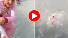 Viral Video Today: गंगा नदी में छलांग लगाने के लिए जैसे-तैसे पुल पर चढ़ गईं दादी, फिर कूद भी गईं- देखें वीडियो