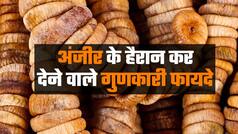 Health Benefits Of Anjeer: Top 5 Reasons Why You Must Include Dried Figs In Your Diet - Watch Video