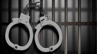 Madhya Pradesh Engineer Threatens To Bomb School Bus In US, Arrested