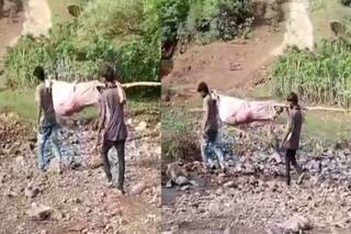 गुजरात: बुजुर्ग मां को बेडशीट में लपेटकर हॉस्पिटल ले जाने को मजबूर हुआ बेटा, भाजपा नेता बोले- जानबूझकर किया ऐसा