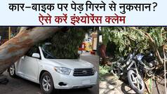 कार-बाइक पर पेड़ गिरने से हो नुकसान? ऐसे करें इंश्योरेंस क्लेम - वीडियो देखें