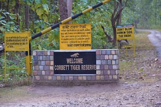 Jim Corbett Travel Alert: Night Stays Banned For Tourist During Monsoon, Here’s When It Will Reopen