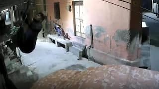 This 'Spiderman of Delhi' Climbed Walls, Jumped Balcony, Not To Save Lives, But To Rob House Full Of People