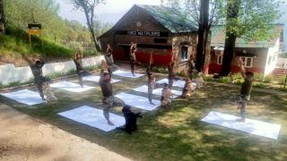 Yoga Day 2022: Army Dogs Performing Cute Yoga Routine Is Winning Hearts On Internet. See Pics