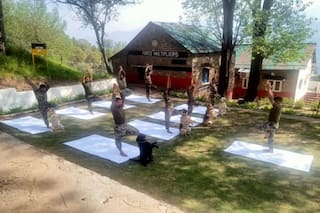 Yoga Day 2022: Army Dogs Performing Cute Yoga Routine Is Winning Hearts On Internet. See Pics