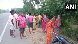 10 killed, 7 Injured After Vehicle Carrying Devotees From Haridwar Meets With Accident In UP's Pilibhit