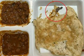 Chole Bhature Mein Chhipkali: छोले-भटूरे में अधमरी छिपकली को देख हिल गया ग्राहक, आगे जो हुआ यकीन ना करेंगे- देखें वीडियो