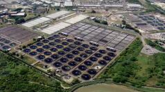 Polio Virus Found In London Sewage For First Time In Nearly 40 Years, Puts UK On Alert