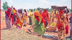 Jharkhand Hindi: मनरेगा योजनाओं में हुई करोड़ों रुपये की गड़बड़ी, हुई फर्जी खरीदारी ; सरकार ने मांगी रिपोर्ट