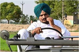 Sidhu Moose Wala Murder: Interpol Issues Notice Against Gangster Goldy Brar