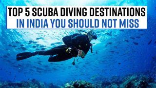 Scuba Diving Destination: Planning For Something Super Adventurous? Do Visit These Thrilling Scuba Diving Sites In India, A Must Visit - Watch Video