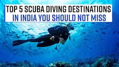 Scuba Diving Destination: Planning For Something Super Adventurous? Do Visit These Thrilling Scuba Diving Sites In India, A Must Visit - Watch Video
